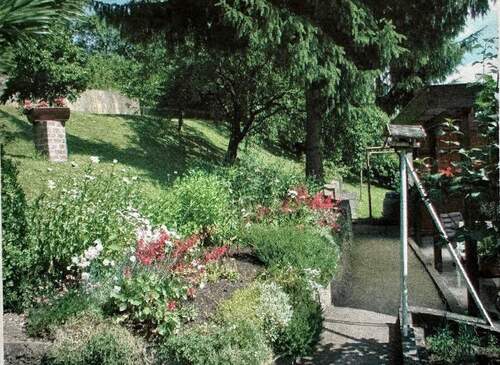 Gartenimpressionen - 