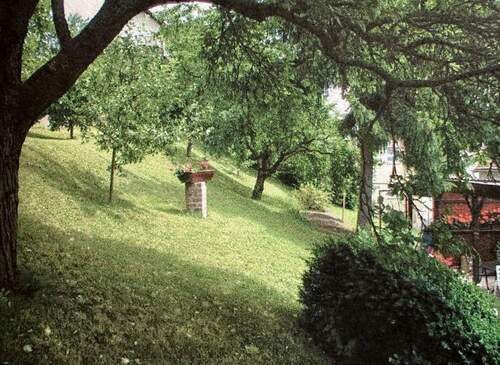 Gartenimpressionen - 