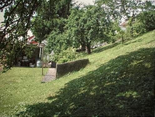 Gartenimpressionen - 