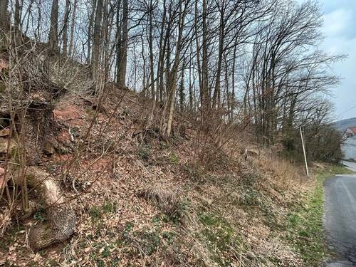 a9c259a1-7427-4072-9224-d62a2e06073d.jpg - Grundstück zum Kaufen in Niederlauer