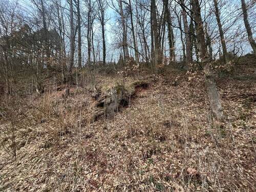 fc53405a-fb96-4fe3-a328-01b4aea37637 - Kopie.jpg - Grundstück in Niederlauer zum Kaufen