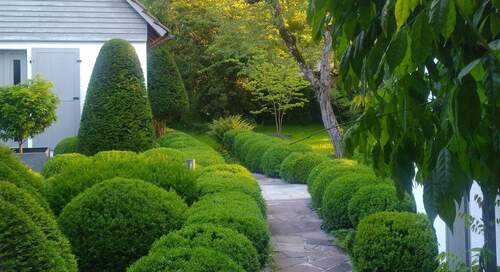 organischer Designgarten mit altem Baumbestand - 