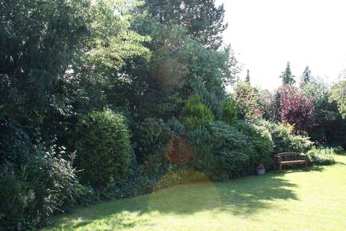 Garten - 