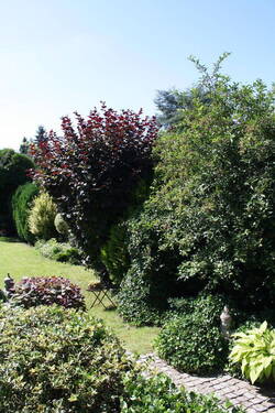 Garten - 