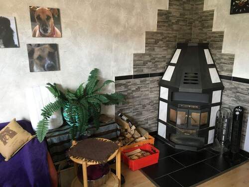 Kaminofen - Einfamilienhaus mit 228,00 m&sup2; in Falkenstein zum Kaufen