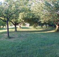 Traumhaftes Grundstück in exzellenter Lage mit großzügigem Gartenparadies - Göppingen Stadtgebiet