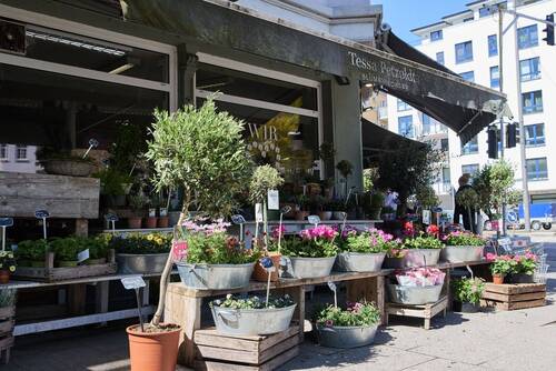 Umgebung - 