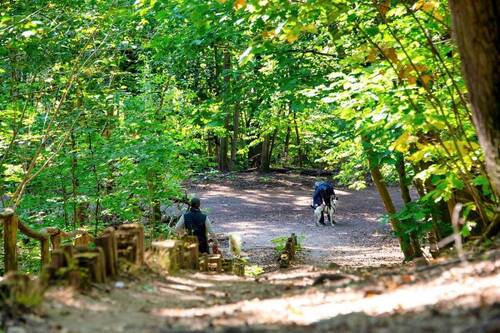 Gruenewald - 
