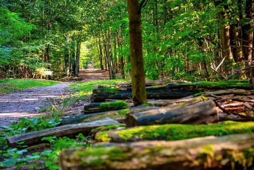 Gruenewald - 