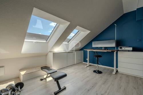 Dachstudio - 