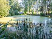 Teich - 1 Zimmer Bauernhaus, Landhaus in Mittelbach