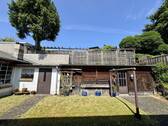 Schuppen - 