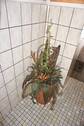 Hauseingang - 