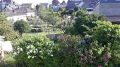 Ausblick - 