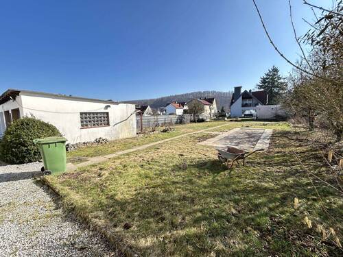 Garten - 5 Zimmer Einfamilienhaus zum Kaufen in Marsberg-Bredelar