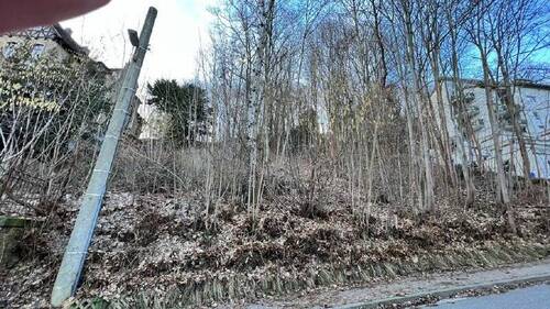 Ansicht - Grundstück zum Kaufen in Tharandt