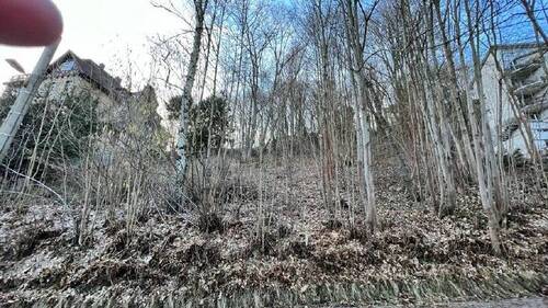 Ansicht - Grundstück in Tharandt zum Kaufen