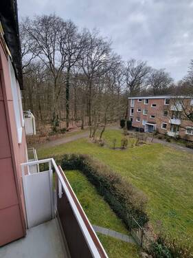 Ausblick - 