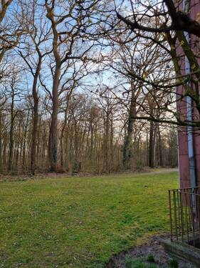 Ausblick - 