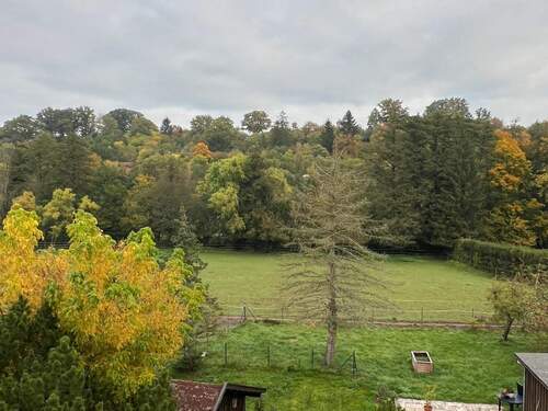 Ausblick - 