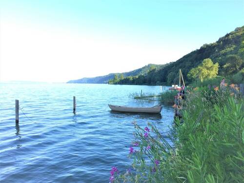 Bodensee mit Blumen.jpg - 