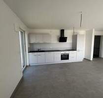 * Erstbezug* Neubauwohnung im Erdgeschoss mit Einbauküche und Garten - Neudenau