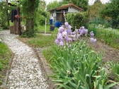 Garten Teilansicht - Individuelles ZweifamilienhausGenerationenhaus