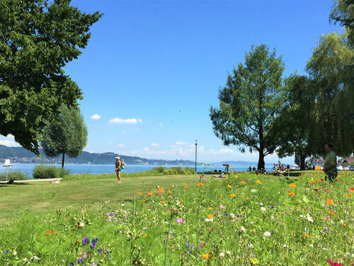 Blick auf den See.jpg - 