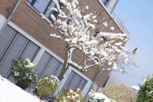 Wintertraum am See.JPG - 