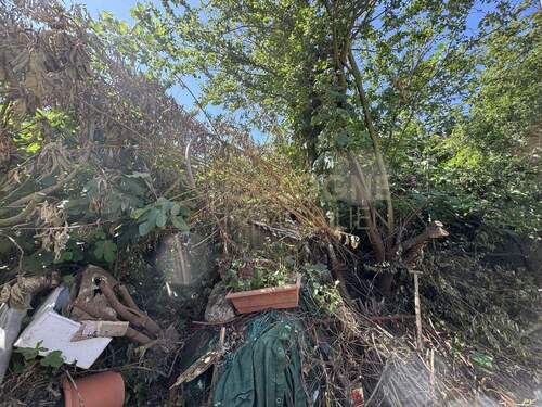 Ausschnitt des unbebauten Grundstücks - 