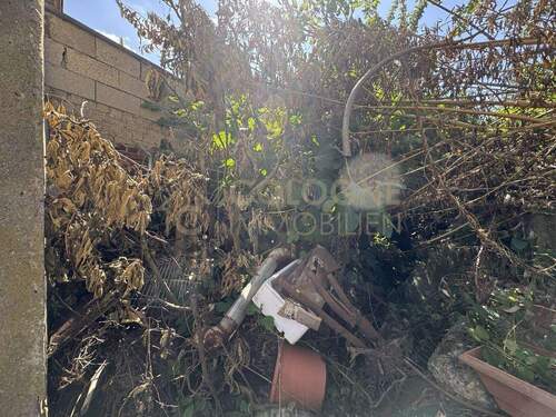 Ausschnitt des unbebauten Grundstücks - 