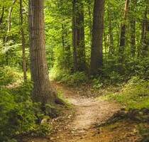 Objekt Nr. G0207 Provisionsfrei! Attraktive Wiesen- und Waldfläche in Westerkappeln zu verkaufen