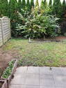 Bild 9 - 