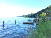Bodensee mit Blumen.jpg - 