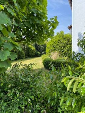 Blick in den Garten - 
