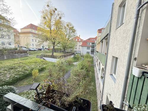 Blick in den Garten - 