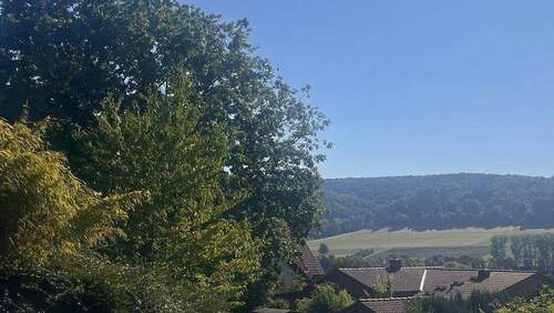 Aussicht - Mehrfamilienhaus, Wohnhaus zum Kaufen in Friedewald