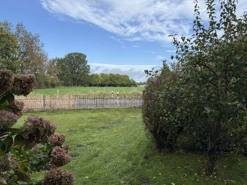 Aussicht ins Grüne - 