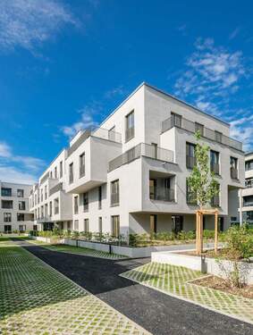 kurz vor Fertigstellung - 