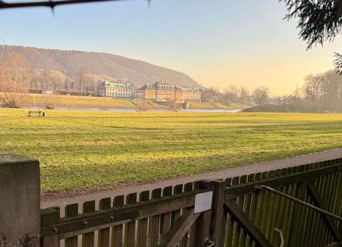 Blick auf das Schloss Pillnitz - 