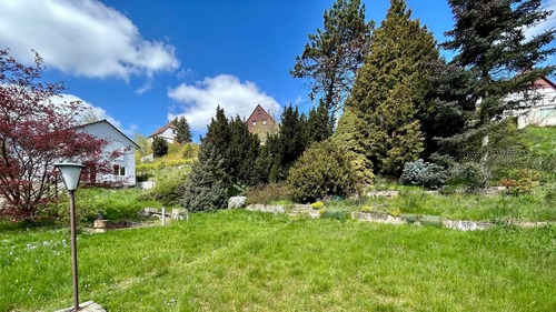 Blick von der Laube - 