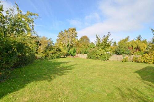 gemeinschaftlicher Garten - 