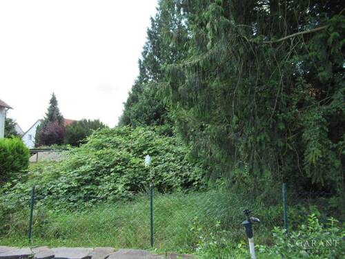 Garten2 - Doppelhaushälfte mit 250,00 m² in Urbach zum Kaufen