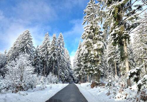 romantische Zufahrt nach Dalken - 