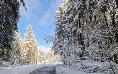 Winterimpressionen 2 - 