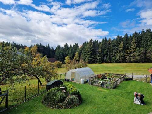 Blick in den Garten - 