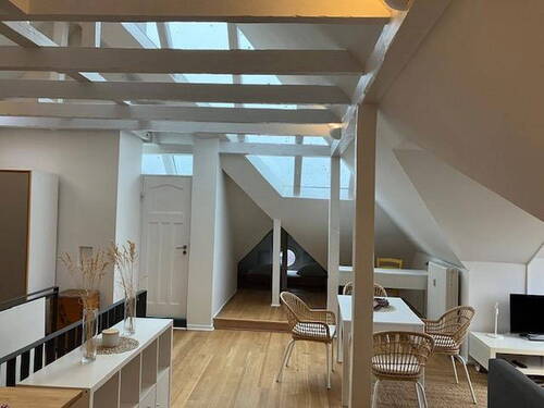 Dachstudio - 