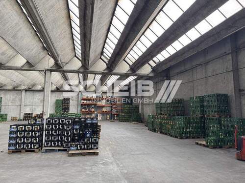 hell durch Oberlichter - Halle in Schwäbisch Hall