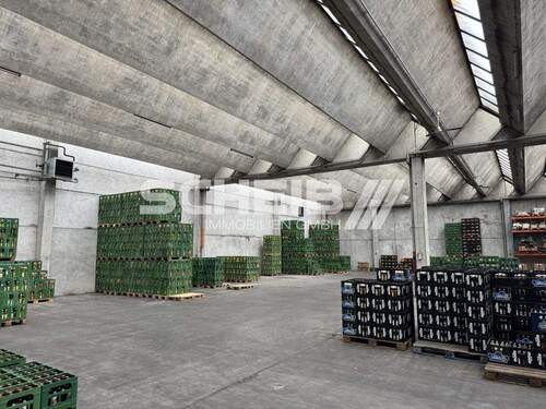 Raumhöhe bis zu 6 Meter - 