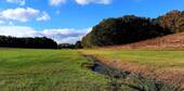 Sommer in Oberreichenbach - 